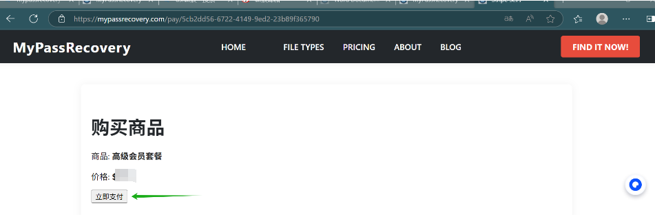 Payment Interface
